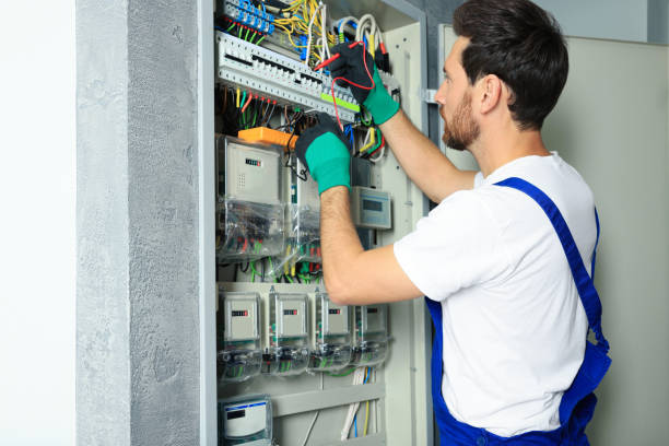 Best Electric Panel Repair  in Hartwell, GA